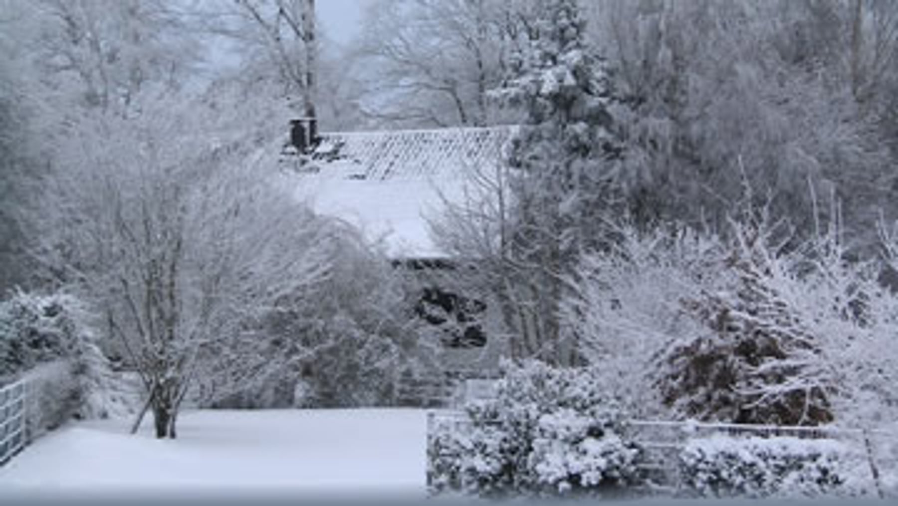 Wintergarten mit verschneiten Bäumen