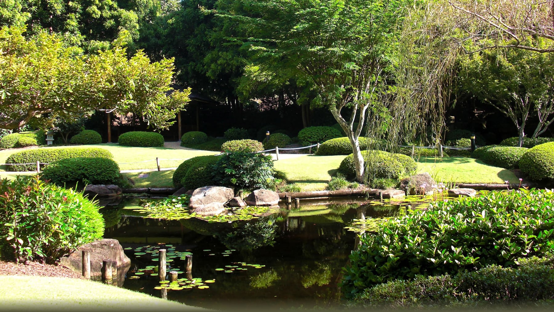 Japanischer Garten mit Teich und gestutzten Sträuchern von Gartenbau Kern